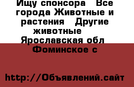 Ищу спонсора - Все города Животные и растения » Другие животные   . Ярославская обл.,Фоминское с.